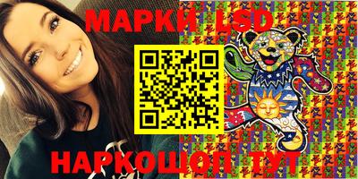 индика Владимир