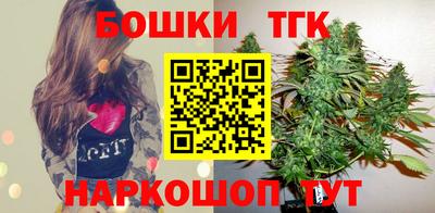 индика Владимир