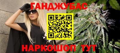 индика Владимир