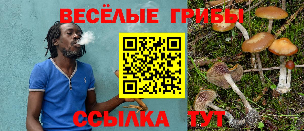 Новый Уренгой  Псилоцибиновые грибы мицелий  Вход с VPN 